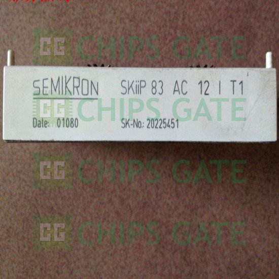 SKIIP83AC12T1