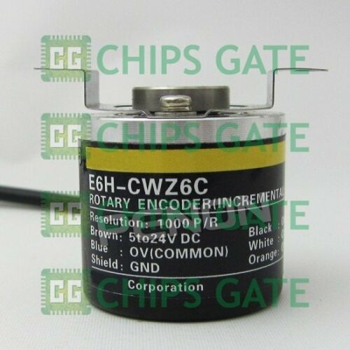 E6H-CWZ6C1000P-R