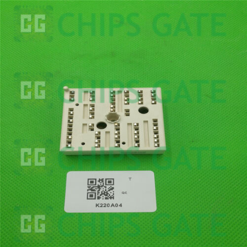 VINCO IGBT MODULE K220A04