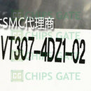 VT307-4DZ1-02