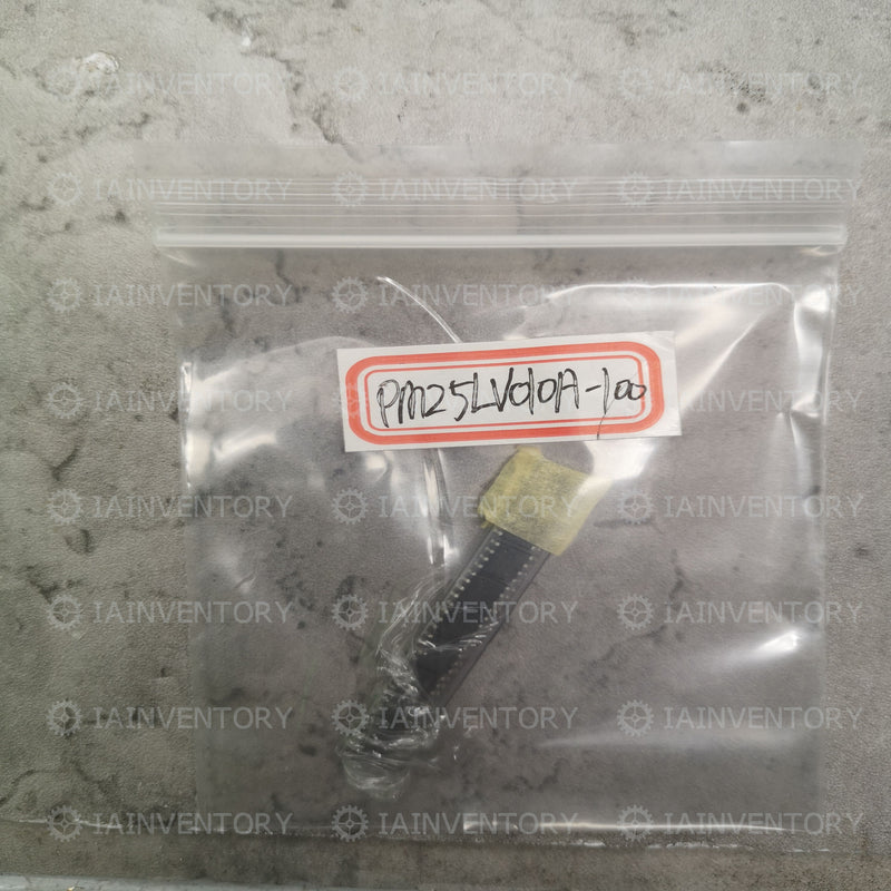 PM25LV010A-100
