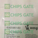 IB060NM61VB3