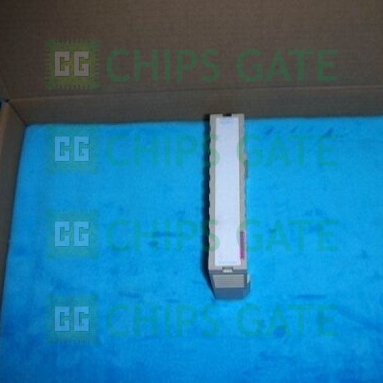 1C31132G01