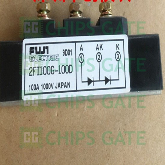 2FI100G-100D