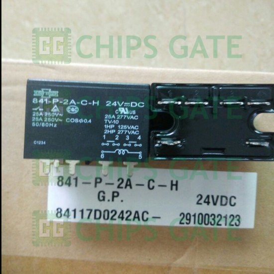 841-P-2A-C-H-24VDC