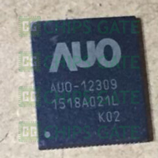 AUO-12309