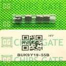 BUK9Y19-55B