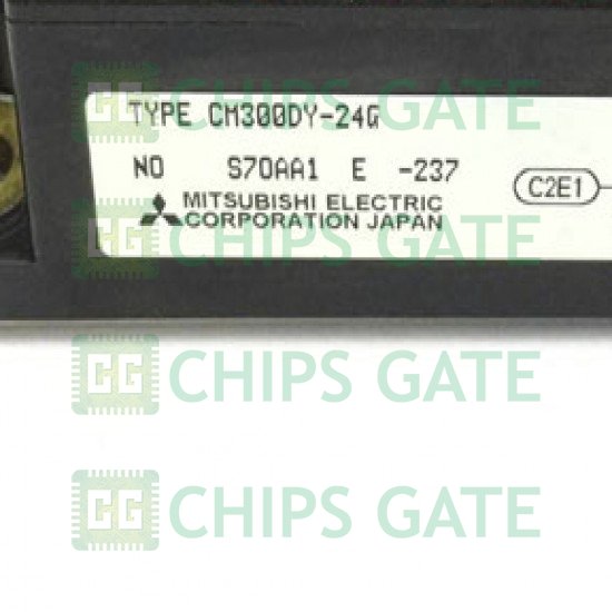 CM300DY-24G