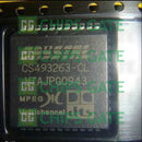 CS493263-CL