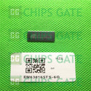 EM638165TS-6G