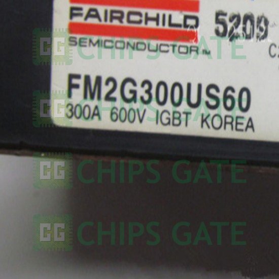 FM2G300US60