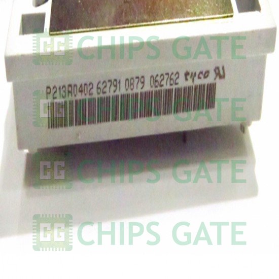 P213A0402