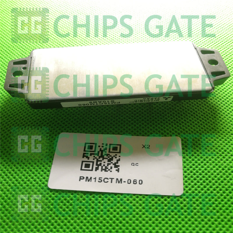 PM15CTM-060