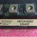 PM75RVA-060
