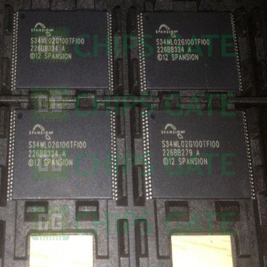 S34ML02G100TFI000