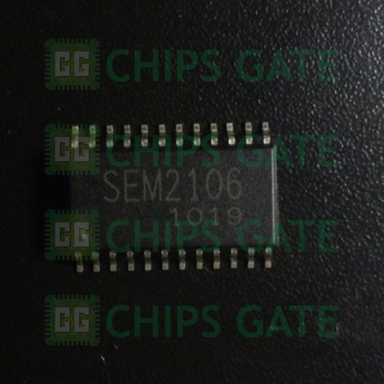 SEM2106