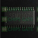 SEM2107