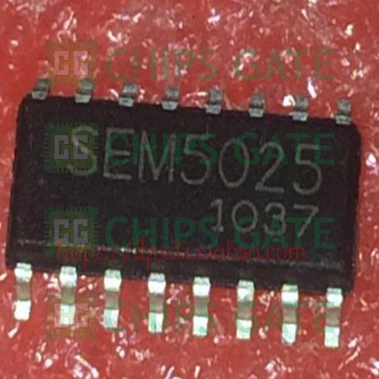 SEM5025