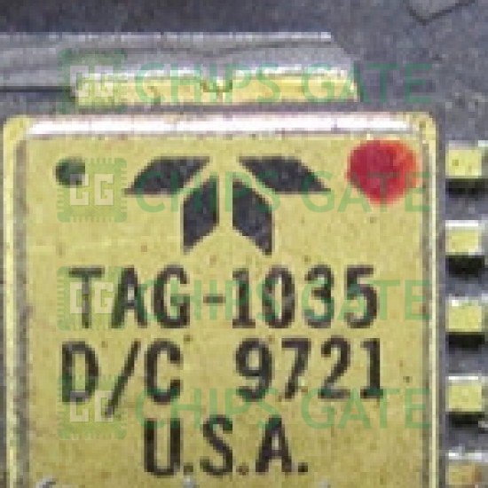 TAG-1035